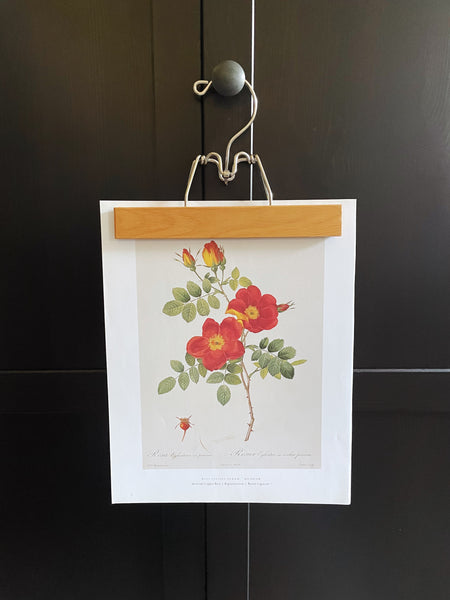 Vintage Yellow and Red Roses Set of Two Prints with Hangers
