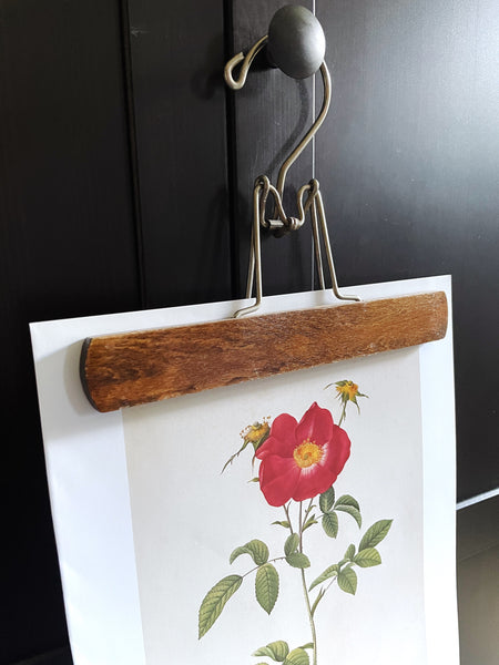 Vintage Pink and Red Roses Print with Hanger