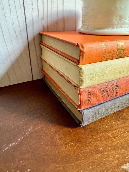 Shades of Brown and Orange Book Stack
