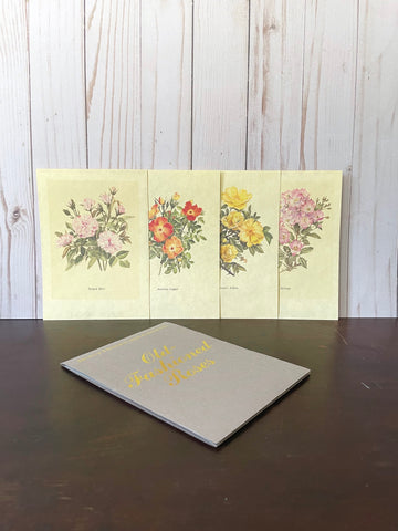 Set of 4 Floral Better Homes and Gardens Prints