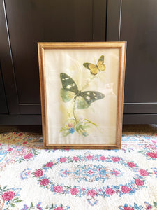 Large Framed Butterfly Print by Ballestar