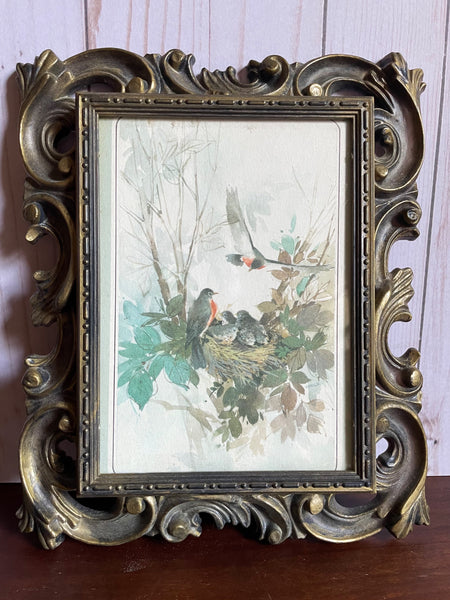 Vintage Ornate Framed Bird Print