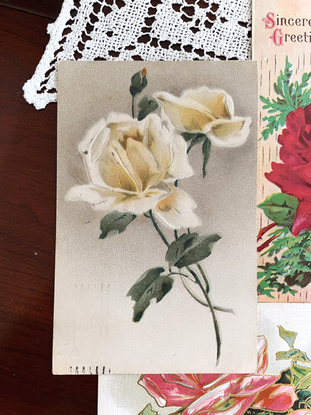 Set of Antique Roses Post Cards