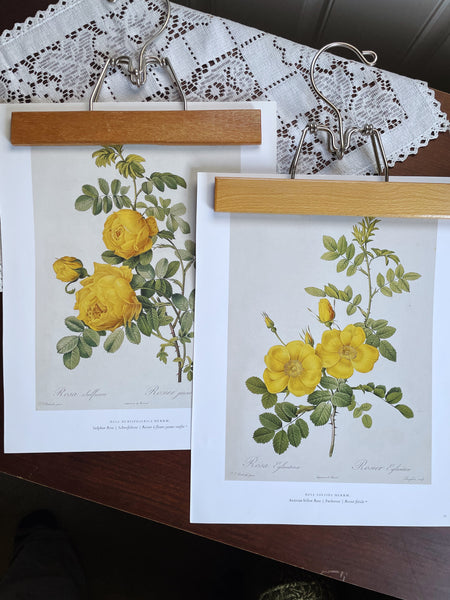 Vintage Yellow and Red Roses Set of Two Prints with Hangers