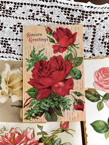 Set of Antique Roses Post Cards
