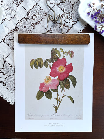 Vintage Pink and Red Roses Print with Hanger